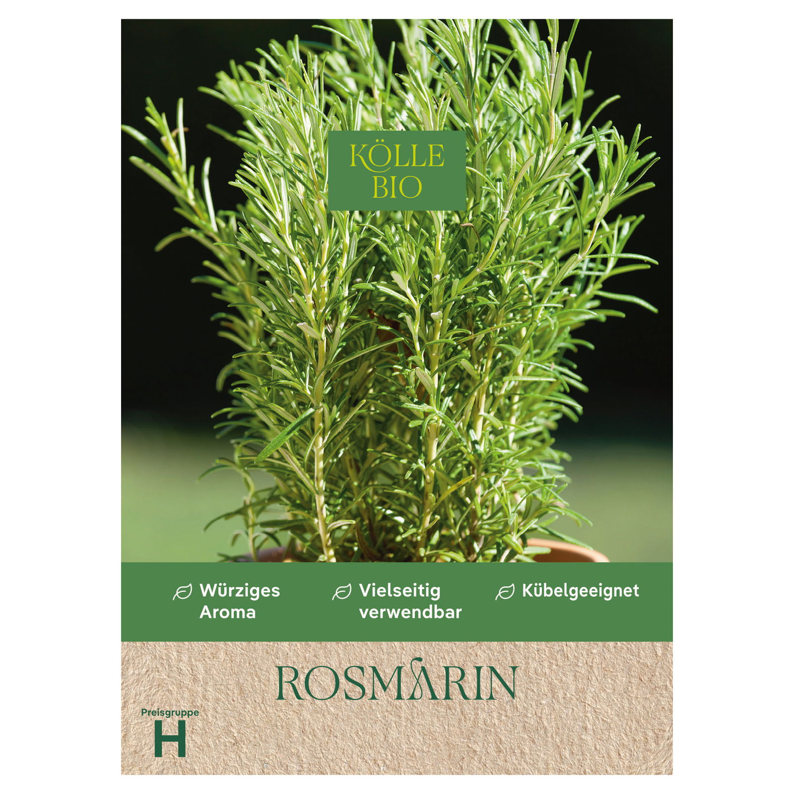 Kölle Bio Saatgut Rosmarin, grün