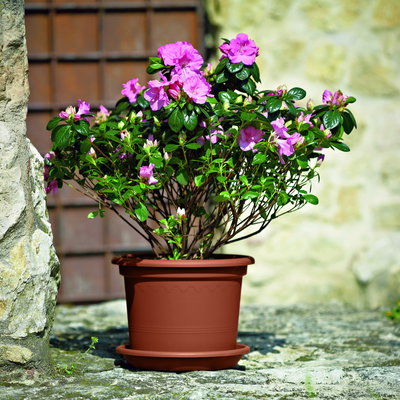 Euro 3 Plast Pflanzkübel 'Geo', terra, ca. Ø 50 x H 38 cm