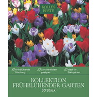 Frühblühende Gartenmischung, 50 Blumenzwiebeln Frühblühende Gartenmischung, 50 Blumenzwiebeln