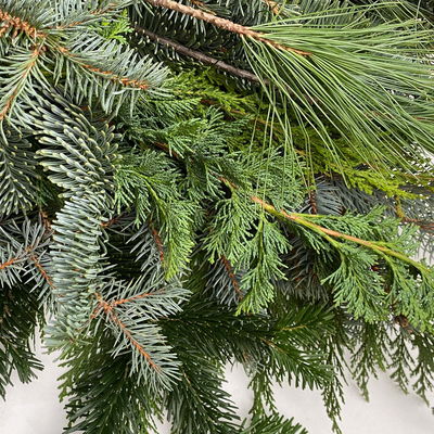 Koniferenstrauß aus verschiedenem Schnittgrün, Länge ca. 60 cm, 2 Bund