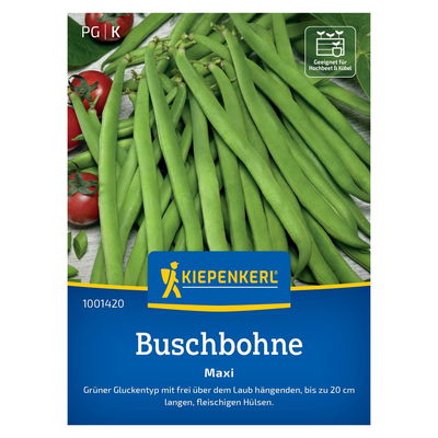 Gemüsesamen, Buschbohnen 'Maxi' Gemüsesamen, Buschbohnen 'Maxi'