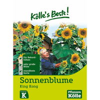 Blumensamen, Sonnenblume 'King Kong'
