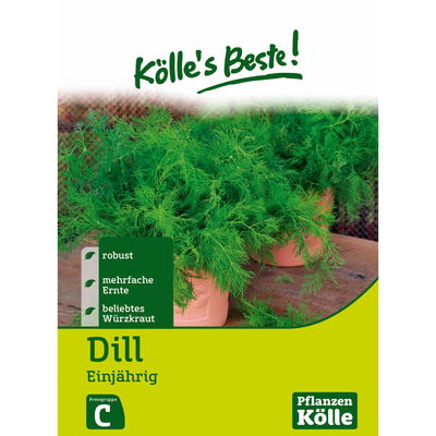 Kölles Beste Kräutersamen Dill einjährig