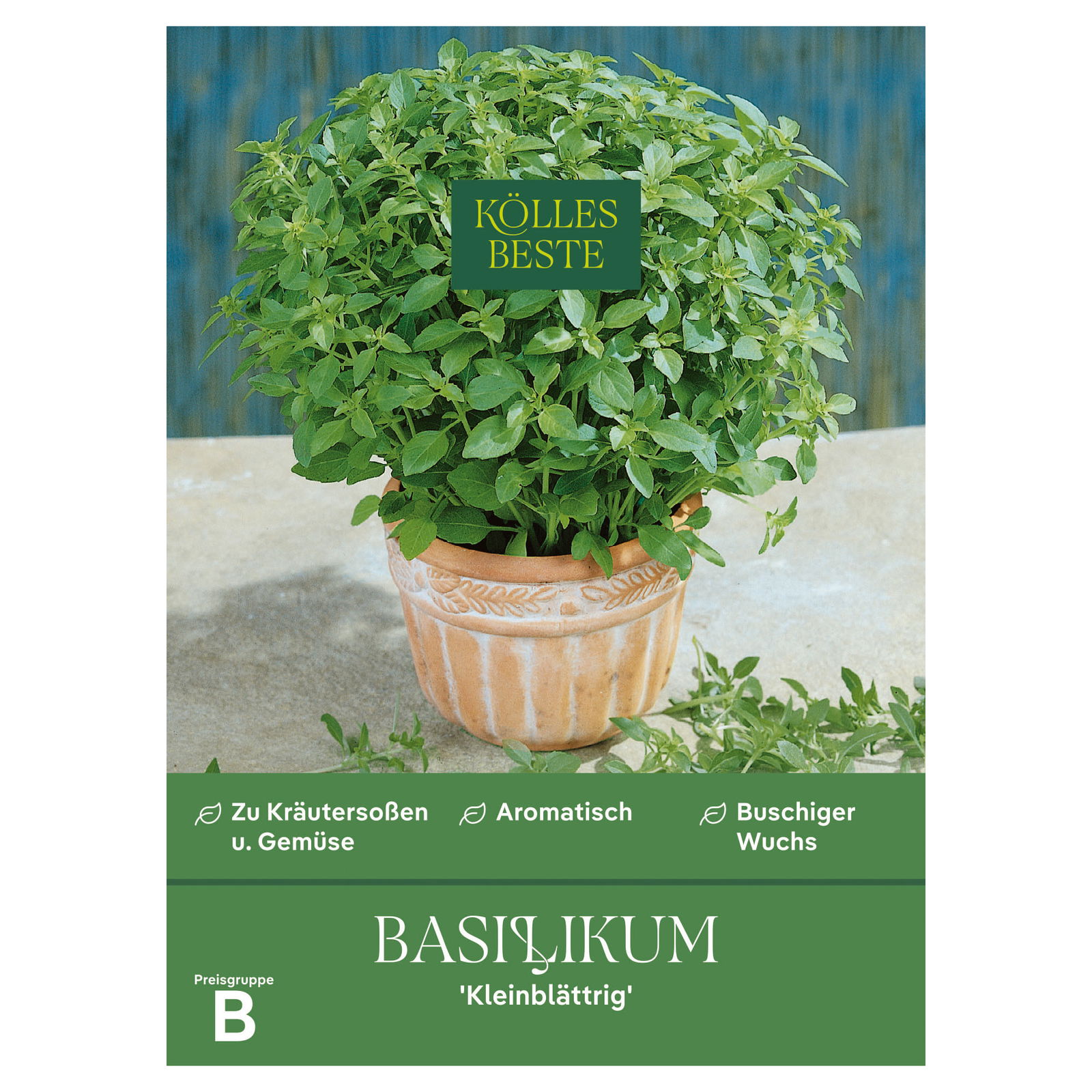 Kölles Beste Basilikum feinblättrig, 7 g Kölles Beste Basilikum feinblättrig, 7 g