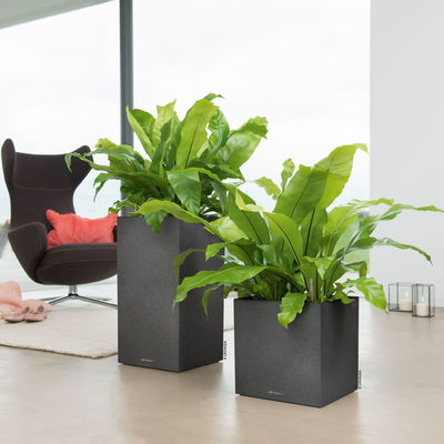 Lechuza 'Canto Stone 40 low', graphitschwarz, ca. 40 x 40 x H 40 cm