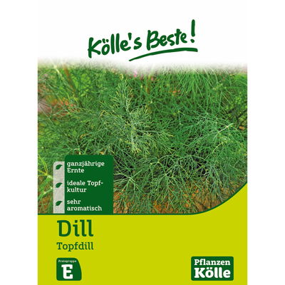 Kölles Beste Kräutersamen Dill Delikat Kölles Beste Kräutersamen Dill Delikat