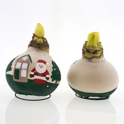 Amaryllis in Wachs, Dekor 'Forest & Nikolaus', handbemalt, Blüte rot Amaryllis in Wachs, Dekor 'Forest & Nikolaus', handbemalt, Blüte rot