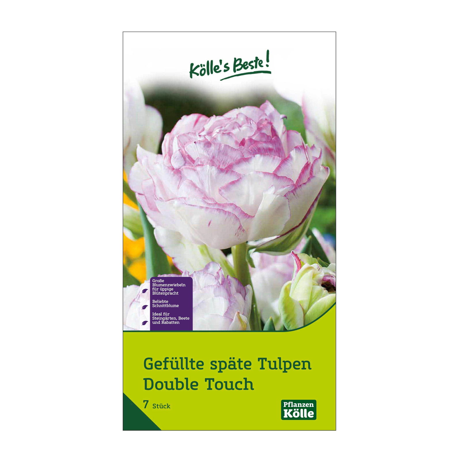 Gefüllte späte Tulpen 'Double Touch', rosa/weiß, 7 Blumenzwiebeln