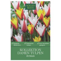 Kölles Beste Tulpen-Kollektion 'Damen-Tulpen®', 25 Blumenzwiebeln