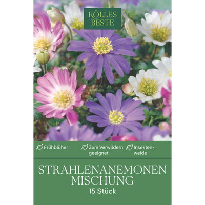 Strahlen-Anemonen Blanda, Größe 5+, 15 Blumenzwiebeln Strahlen-Anemonen Blanda, Größe 5+, 15 Blumenzwiebeln