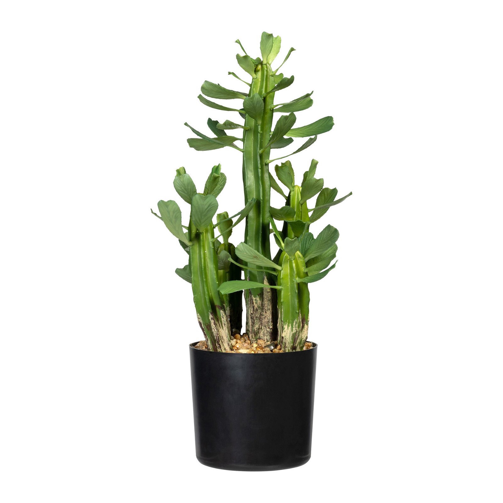 Kunstpflanze Wolfsmilch, grün, Topf-Ø 12 cm, Höhe ca. 40 cm