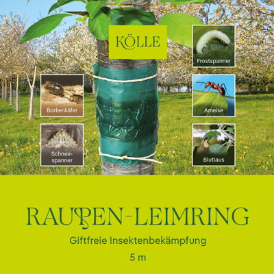 Kölle Raupen-Leimring, 5 m Kölle Raupen-Leimring, 5 m