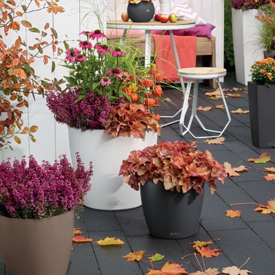 Lechuza 'Classico Color 18', schiefergrau, ca. Ø 19 x H 17 cm