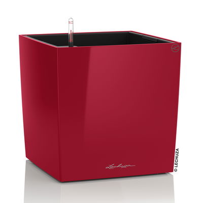 Lechuza 'Cube 50', scarlet-rot, ca. 49 x 49 x H 49,5 cm