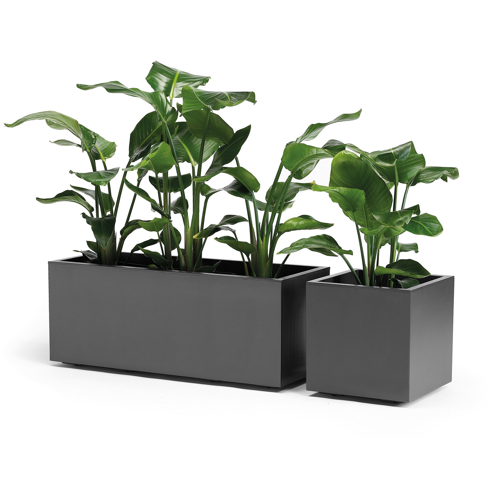 Euro 3 Plast Pflanzkasten 'Kebe', anthrazit, ca. 99,5 x 39,5 x H 39,5 cm