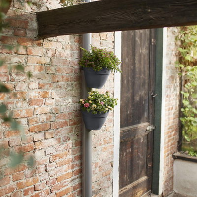 Elho Fallrohrpflanzgefäß 'Vibia Campana', anthrazit