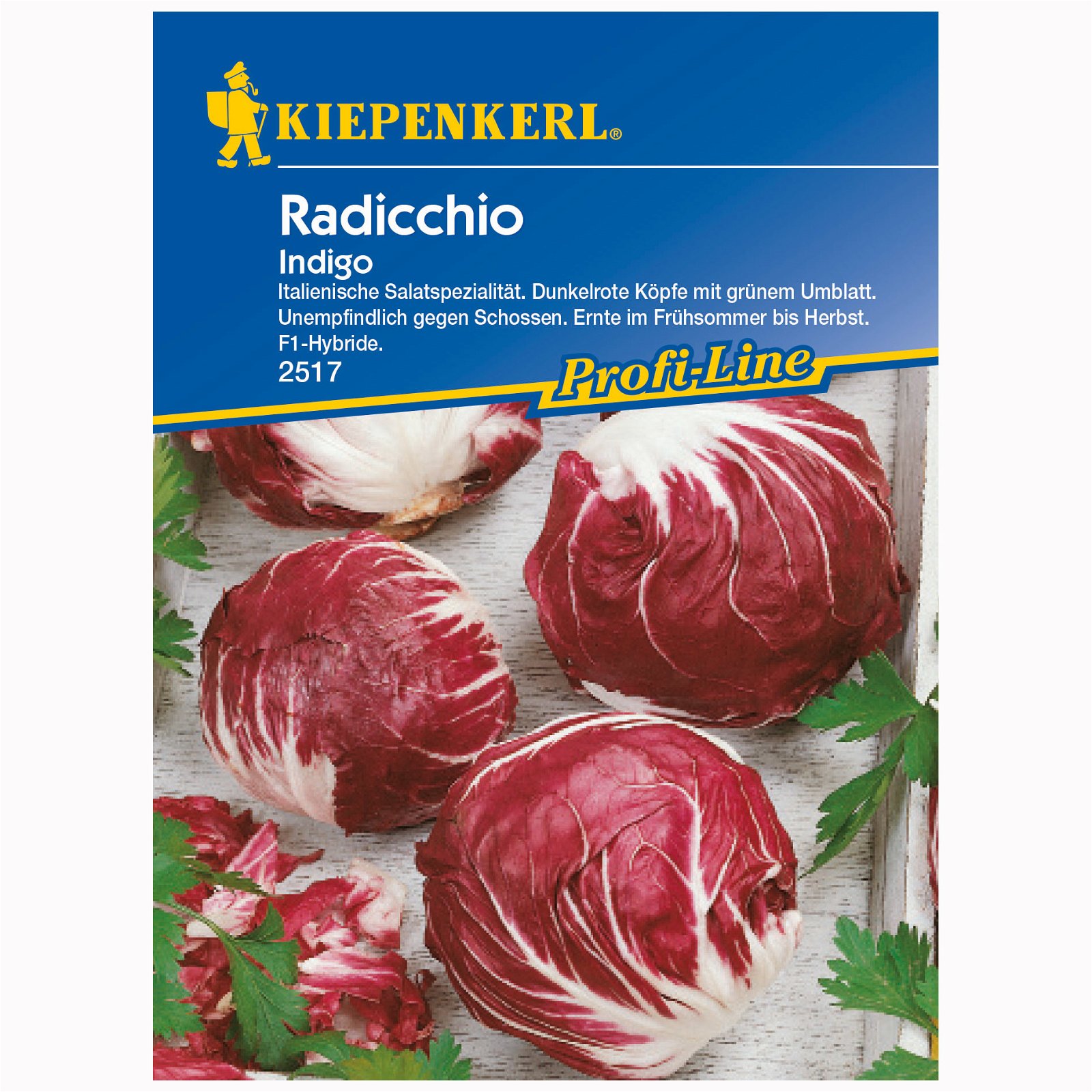 Gemüsesamen, Radicchio 'Indigo', rot