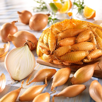 Gelbe Steckzwiebeln birnenförmig Gr. 10/21, 250 g