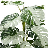 Künstliche Monstera variegata 'Halfmoon', Höhe ca. 115 cm