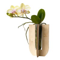 Phalaenopsis Voyage im Geschenkkarton, Höhe ca. 30 cm