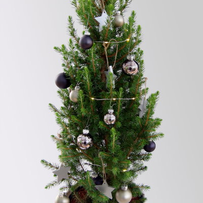 Weihnachtsbäumchen inkl. Deko, silber-schwarz, Höhe ca. 50 cm, Topf-Ø 23 cm
