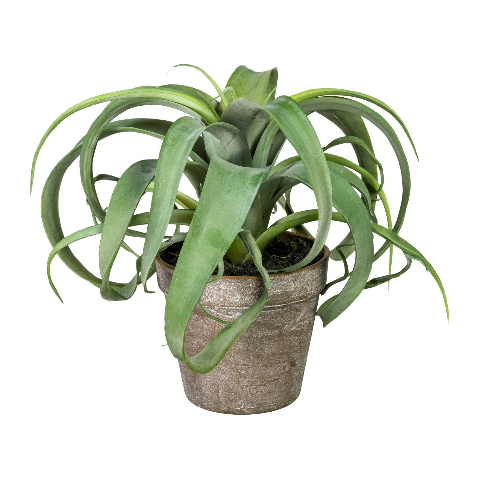 Kunstpflanze Bromelie, grün, Topf-Ø 12 cm, Höhe ca. 24 cm