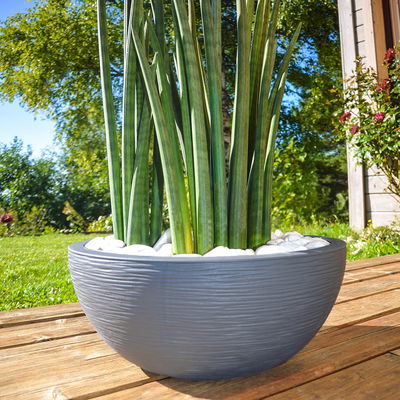 Eda Pflanzschale 'Graphit Ella', anthrazit, ca. Ø 40 x H 16,5 cm Eda Pflanzschale 'Graphit Ella', anthrazit, ca. Ø 40 x H 16,5 cm