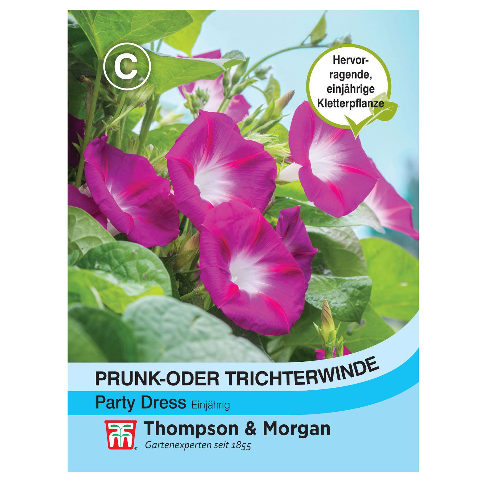 Thompson & Morgan Saatgut Prunkwinde 'Party Dress', dunkelrosa