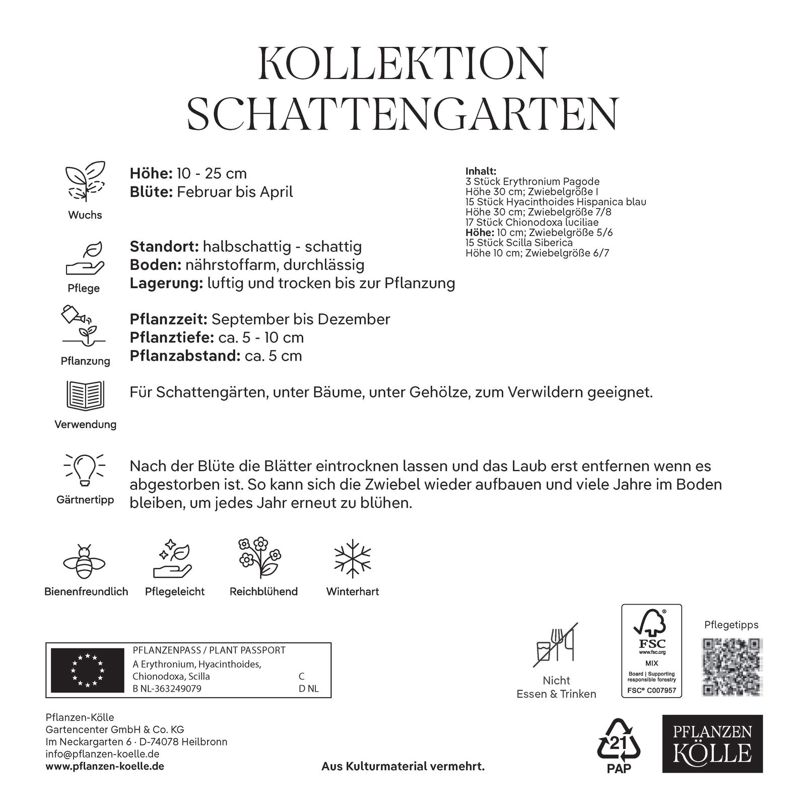 Kollektion Reizvoller Schattengarten, 50 Blumenzwiebeln
