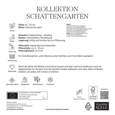 Kollektion Reizvoller Schattengarten, 50 Blumenzwiebeln