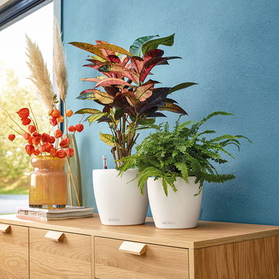 Lechuza 'Classico Color 21', weiß, ca. Ø 21,5 x H 20,5 cm Lechuza 'Classico Color 21', weiß, ca. Ø 21,5 x H 20,5 cm