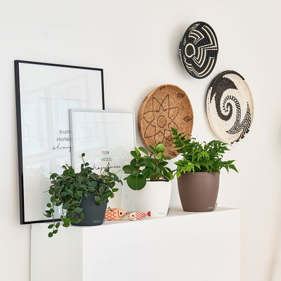 Lechuza 'Classico Color 18', schiefergrau, ca. Ø 19 x H 17 cm