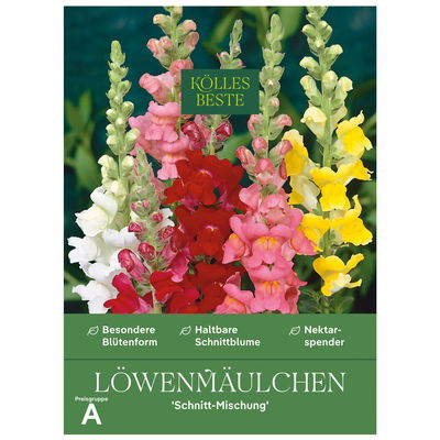 Kölles Beste Blumensamen, Löwenmäulchen 'Schnitt-Mischung' Kölles Beste Blumensamen, Löwenmäulchen 'Schnitt-Mischung'