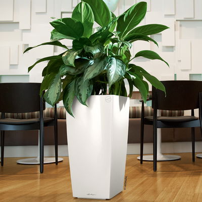 Lechuza 'Cubico Premium 40', weiß, ca. 40 x 40 x H 75 cm