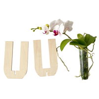 Phalaenopsis Voyage im Geschenkkarton, Höhe ca. 30 cm