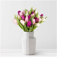 Blumenbund mit Tulpen, 30er-Bund, weiß-hellrosa-lila, inkl. gratis Grußkarte