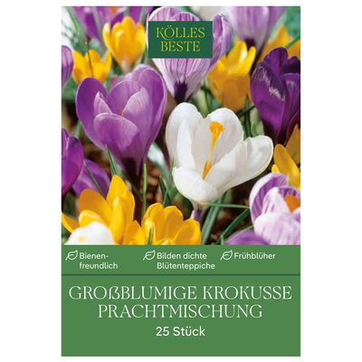 großblumige Krokusse Prachtmischung, 25 Blumenzwiebeln großblumige Krokusse Prachtmischung, 25 Blumenzwiebeln