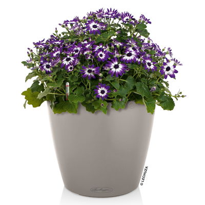 Lechuza 'Classico Color 43', sandbraun, ca. Ø 42 x H 39,5 cm Lechuza 'Classico Color 43', sandbraun, ca. Ø 42 x H 39,5 cm