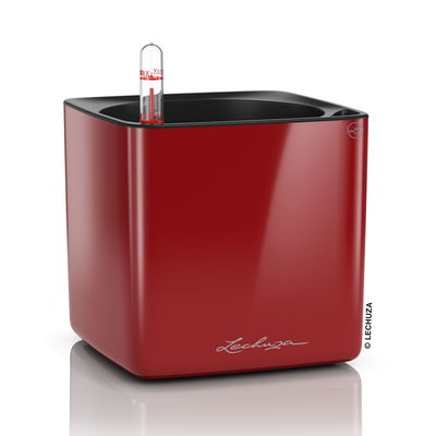 Lechuza 'Cube Glossy 14', scarlet-rot, ca. 14 x 14 x H 13,5 cm