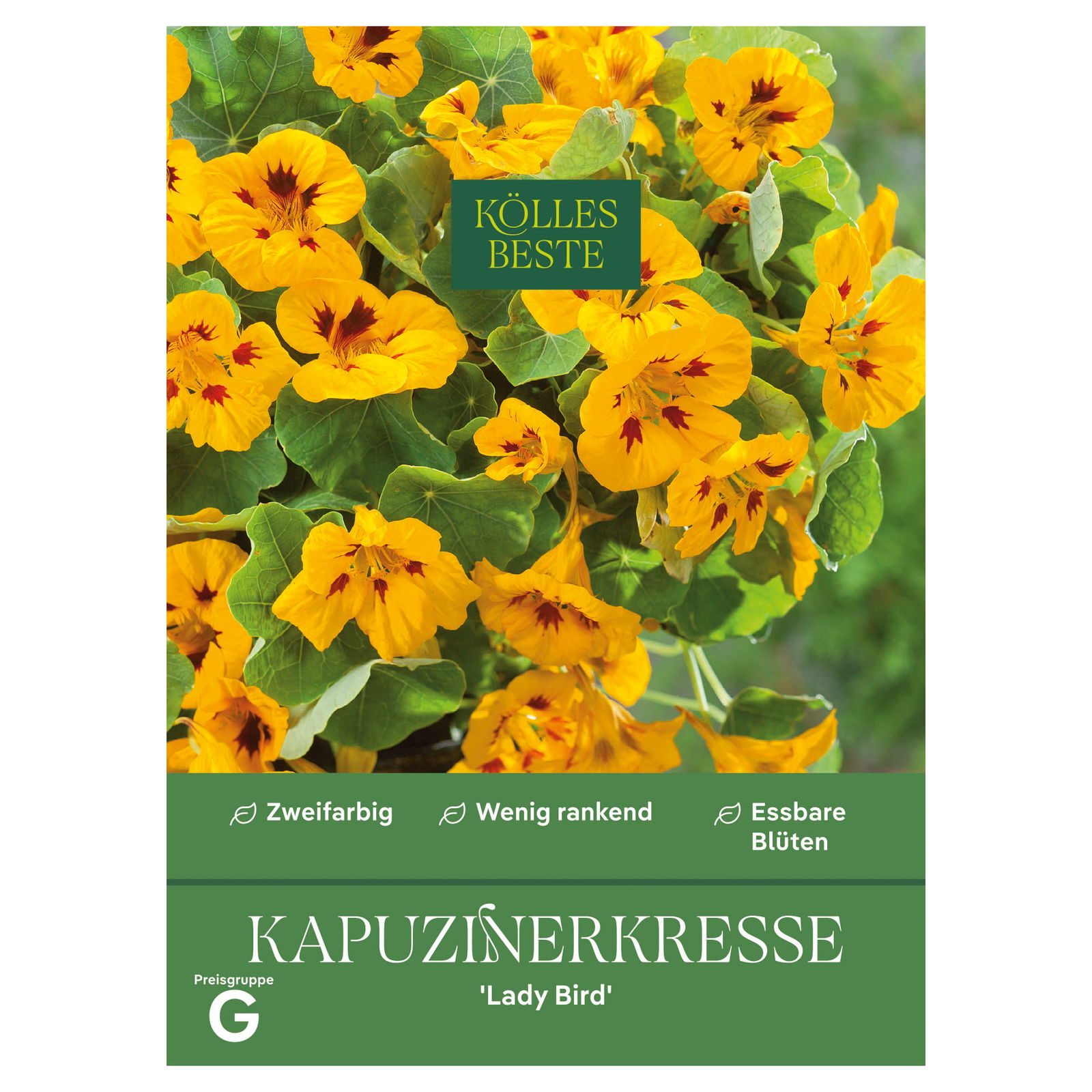 Kölles Beste Blumensamen, Kapuzinerkresse 'Lady Bird' Kölles Beste Blumensamen, Kapuzinerkresse 'Lady Bird'