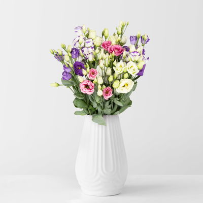 10 Lisianthus, bunt 10 Lisianthus, bunt