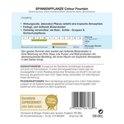 Thompson & Morgan Blumensamen Spinnenblume Colour Fountain Mischung