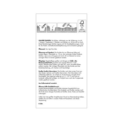 Gallerie-Dahlie 'Rembrandt' rosa, 1 Blumenknolle Gallerie-Dahlie 'Rembrandt' rosa, 1 Blumenknolle