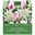 Blumenzwiebel-Kollektion 'Urban Gardening', weiß/violett, 15 Blumenzwiebeln
