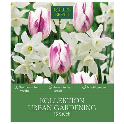 Blumenzwiebel-Kollektion 'Urban Gardening', weiß/violett, 15 Blumenzwiebeln Blumenzwiebel-Kollektion 'Urban Gardening', weiß/violett, 15 Blumenzwiebeln