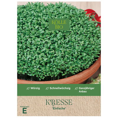 Kölle Bio Kräutersamen, Kresse 'Einfache'