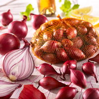 Rote Steckzwiebeln Gr. 12/22, 250 g
