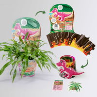 Dino Snack®, Mira, Känguru-Farn, Topf-Ø 14 cm