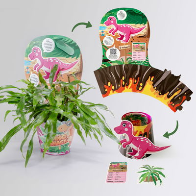 Dino Snack®, Mira, Känguru-Farn, Topf-Ø 14 cm, mit Brotdose Dino Snack®, Mira, Känguru-Farn, Topf-Ø 14 cm, mit Brotdose