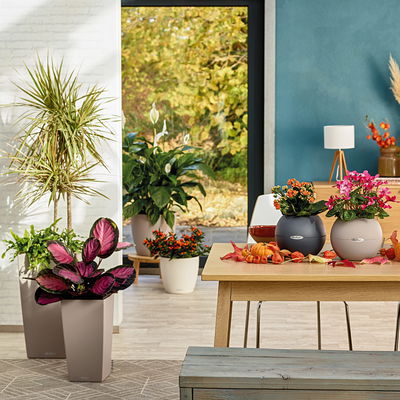 Lechuza 'Puro Color 20', sandbraun, ca. Ø 20 x H 16 cm